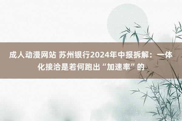 成人动漫网站 苏州银行2024年中报拆解：一体化接洽是若何跑出“加速率”的