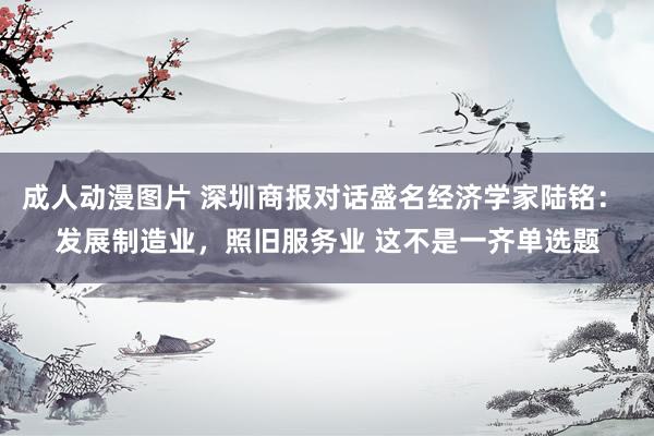 成人动漫图片 深圳商报对话盛名经济学家陆铭： 发展制造业，照旧服务业 这不是一齐单选题