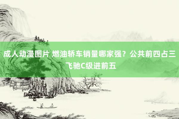 成人动漫图片 燃油轿车销量哪家强？公共前四占三 飞驰C级进前五