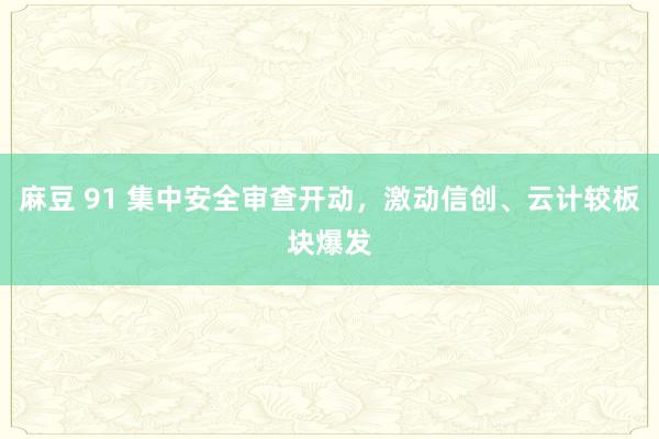 麻豆 91 集中安全审查开动，激动信创、云计较板块爆发