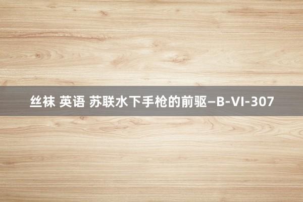 丝袜 英语 苏联水下手枪的前驱—B-VI-307