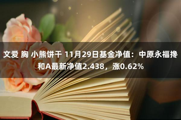 文爱 胸 小熊饼干 11月29日基金净值：中原永福搀和A最新净值2.438，涨0.62%