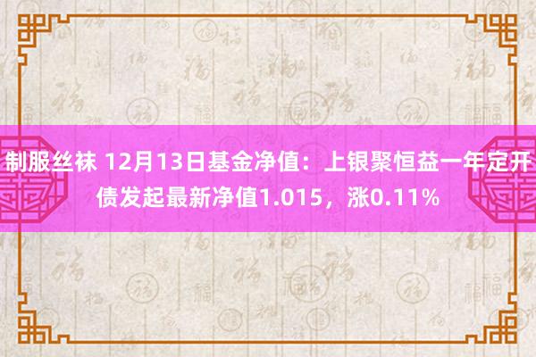 制服丝袜 12月13日基金净值：上银聚恒益一年定开债发起最新净值1.015，涨0.11%