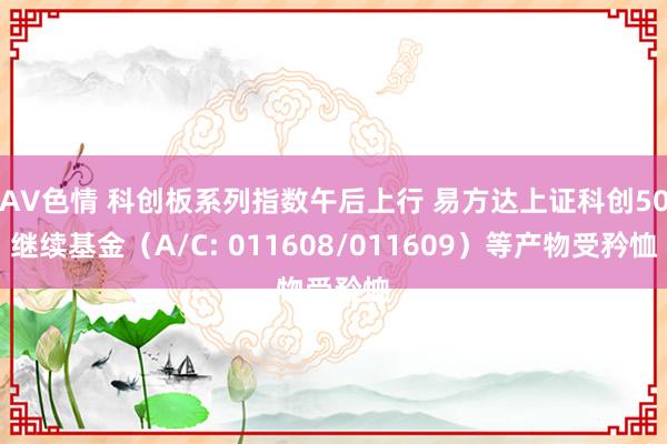 AV色情 科创板系列指数午后上行 易方达上证科创50继续基金（A/C: 011608/011609）等产物受矜恤