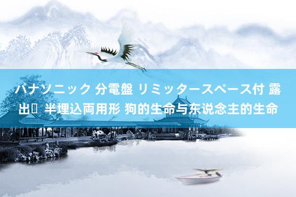 パナソニック 分電盤 リミッタースペース付 露出・半埋込両用形 狗的生命与东说念主的生命