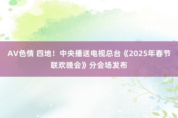 AV色情 四地！中央播送电视总台《2025年春节联欢晚会》分会场发布
