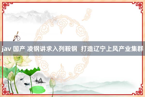 jav 国产 凌钢讲求入列鞍钢  打造辽宁上风产业集群