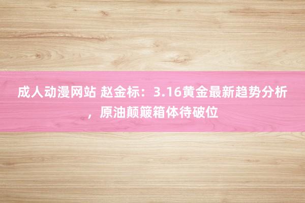 成人动漫网站 赵金标：3.16黄金最新趋势分析，原油颠簸箱体待破位