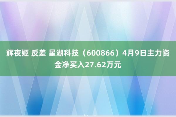 辉夜姬 反差 星湖科技（600866）4月9日主力资金净买入27.62万元