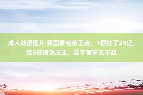成人动漫图片 我国豪宅恭王府，1根柱子24亿，经3任据说屋主，寰宇首富买不起