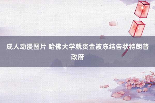 成人动漫图片 哈佛大学就资金被冻结告状特朗普政府